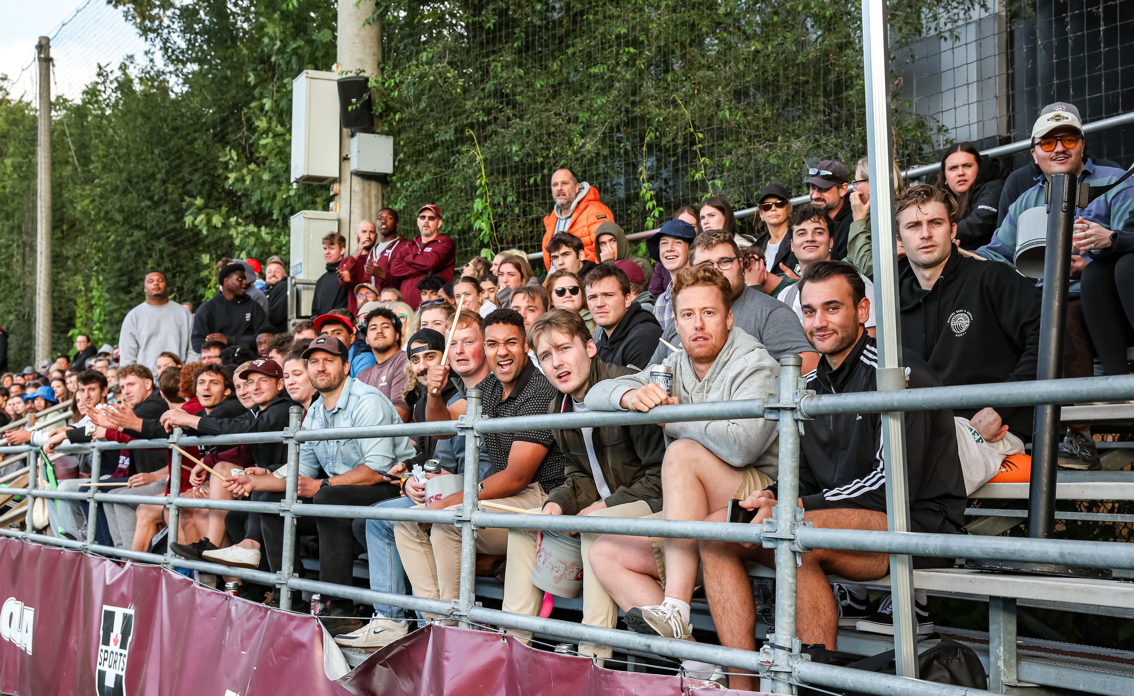 Fan and Alum Collection